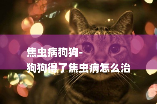 焦蟲病狗狗-
狗狗得了焦蟲病怎么治