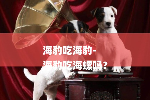 海豹吃海豹-
海豹吃海螺嗎？