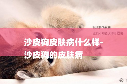 沙皮狗皮膚病什么樣-
沙皮狗的皮膚病