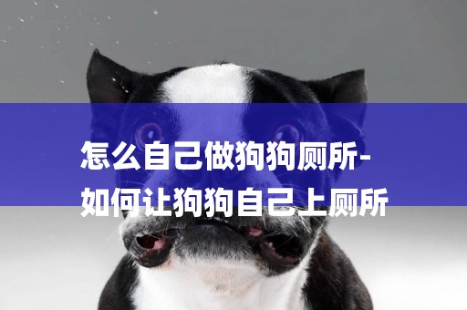 怎么自己做狗狗廁所-
如何讓狗狗自己上廁所