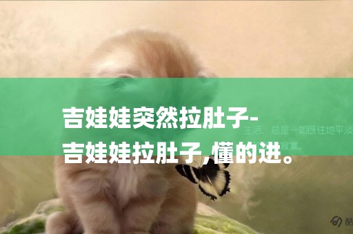 吉娃娃突然拉肚子-
吉娃娃拉肚子,懂的進。