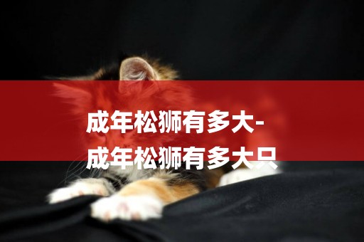 成年松獅有多大-
成年松獅有多大只