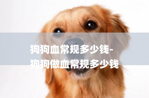 狗狗血常規多少錢-
狗狗做血常規多少錢