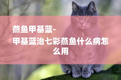 燕魚甲基藍-
甲基藍治七彩燕魚什么病怎么用