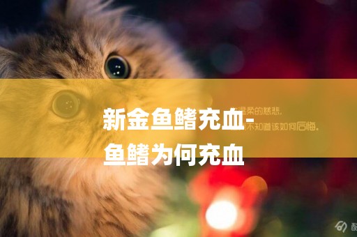 新金魚鰭充血-
魚鰭為何充血