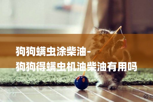 狗狗螨蟲涂柴油-
狗狗得螨蟲機油柴油有用嗎