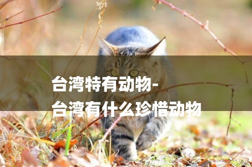 臺灣特有動物-
臺灣有什么珍惜動物