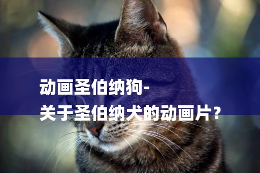 動畫圣伯納狗-
關于圣伯納犬的動畫片？