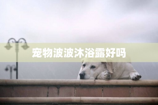 寵物波波沐浴露好嗎