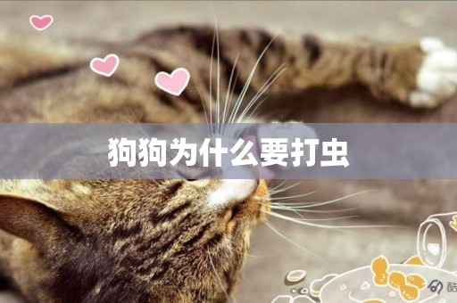狗狗為什么要打蟲