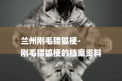 蘭州剛毛獵狐梗-
剛毛獵狐梗的檔案資料