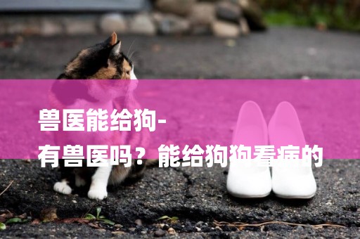 獸醫能給狗-
有獸醫嗎？能給狗狗看病的