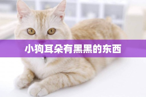 小狗耳朵有黑黑的東西