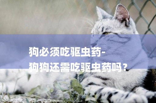 狗必須吃驅蟲藥-
狗狗還需吃驅蟲藥嗎？