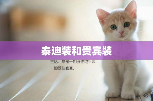 泰迪裝和貴賓裝