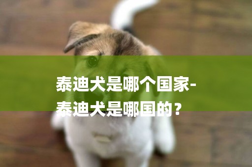 泰迪犬是哪個國家-
泰迪犬是哪國的？