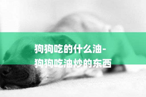 狗狗吃的什么油-
狗狗吃油炒的東西
