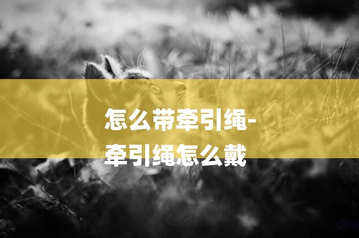 怎么帶牽引繩-
牽引繩怎么戴