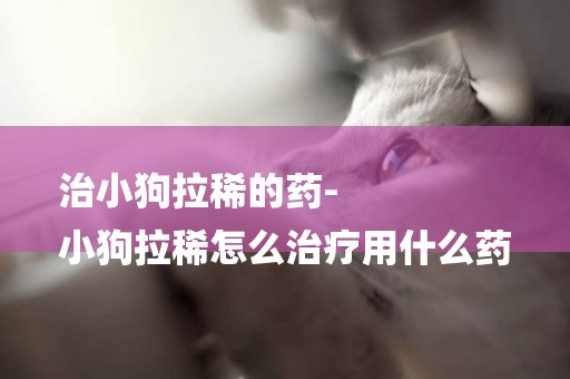 治小狗拉稀的藥-
小狗拉稀怎么治療用什么藥