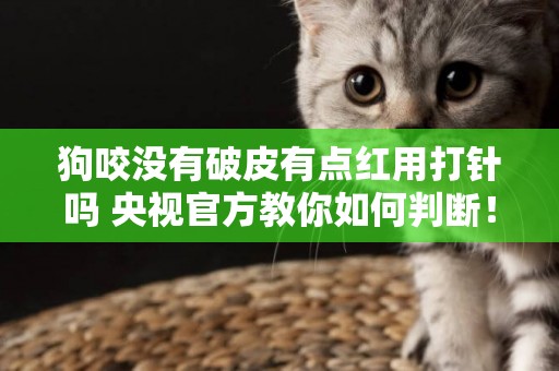狗咬沒有破皮有點紅用打針嗎 央視官方教你如何判斷！