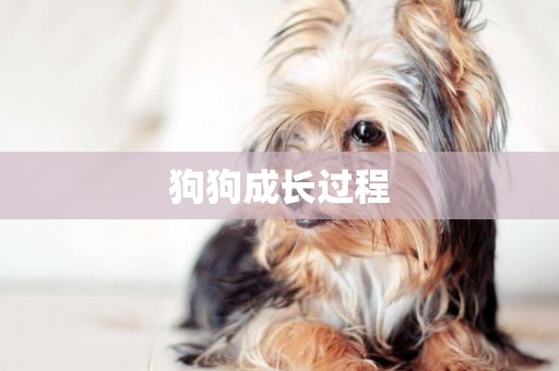 狗狗成長過程