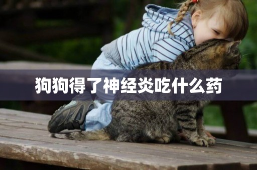 狗狗得了神經炎吃什么藥