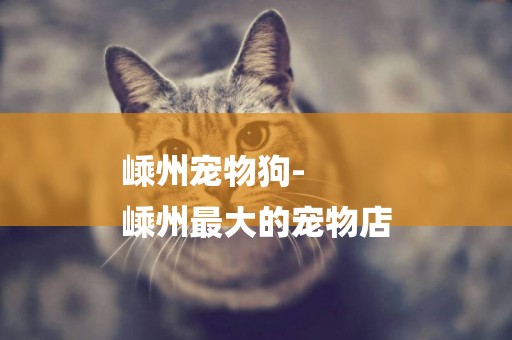 嵊州寵物狗-
嵊州最大的寵物店