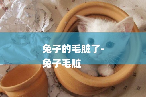 兔子的毛臟了-
兔子毛臟