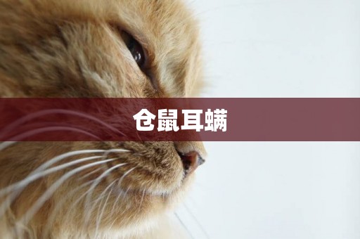 倉鼠耳螨