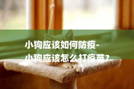小狗應該如何防疫-
小狗應該怎么打疫苗？
