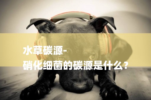 水草碳源-
硝化細菌的碳源是什么？