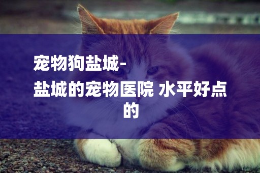 寵物狗鹽城-
鹽城的寵物醫院 水平好點的