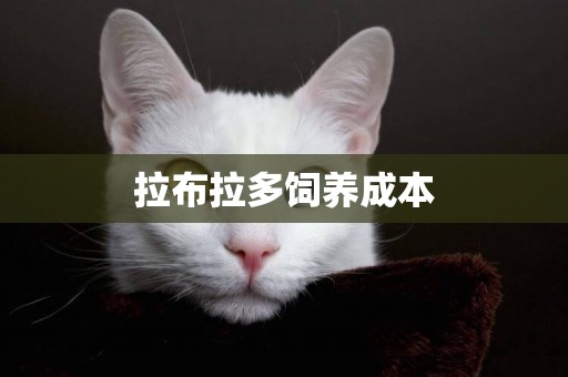 拉布拉多飼養成本