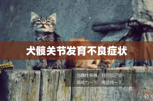犬髖關節發育不良癥狀