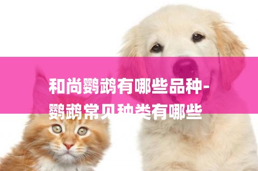 和尚鸚鵡有哪些品種-
鸚鵡常見種類有哪些