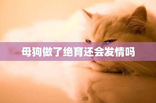 母狗做了絕育還會發情嗎