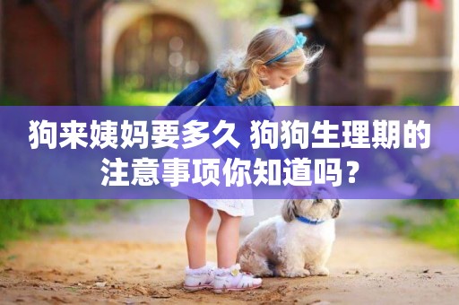 狗來姨媽要多久 狗狗生理期的注意事項你知道嗎？