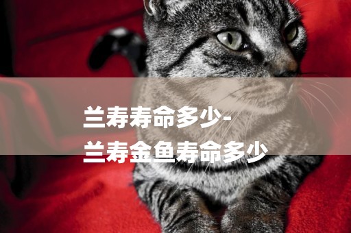 蘭壽壽命多少-
蘭壽金魚壽命多少