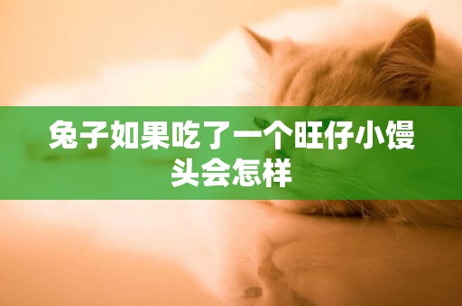 兔子如果吃了一個旺仔小饅頭會怎樣