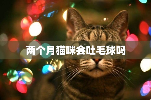 兩個月貓咪會吐毛球嗎
