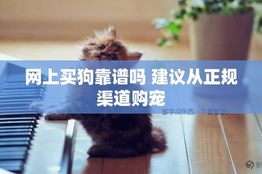 網上買狗靠譜嗎 建議從正規渠道購寵