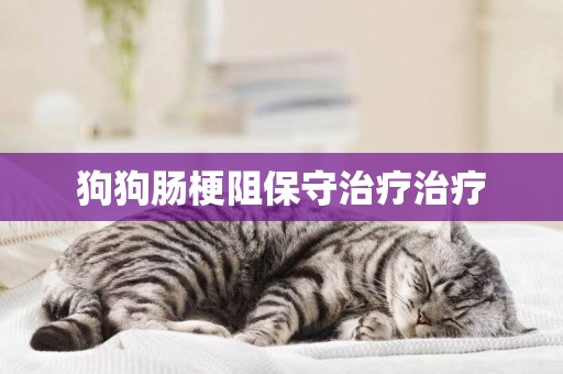 狗狗腸梗阻保守治療治療