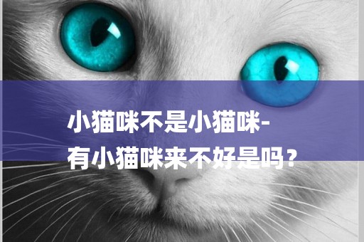 小貓咪不是小貓咪-
有小貓咪來不好是嗎？