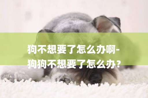 狗不想要了怎么辦啊-
狗狗不想要了怎么辦？