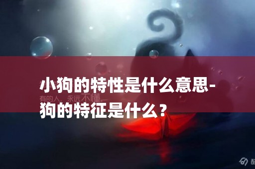 小狗的特性是什么意思-
狗的特征是什么？