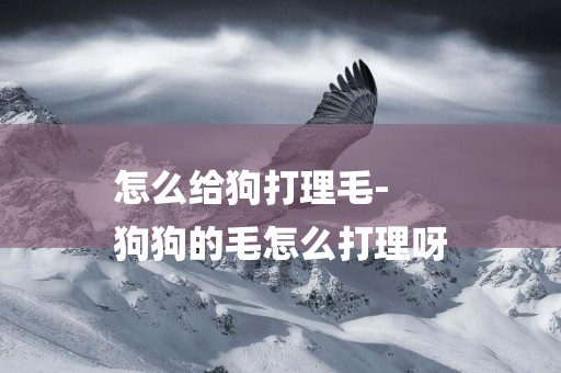 怎么給狗打理毛-
狗狗的毛怎么打理呀