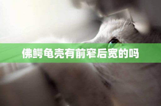佛鱷龜殼有前窄后寬的嗎