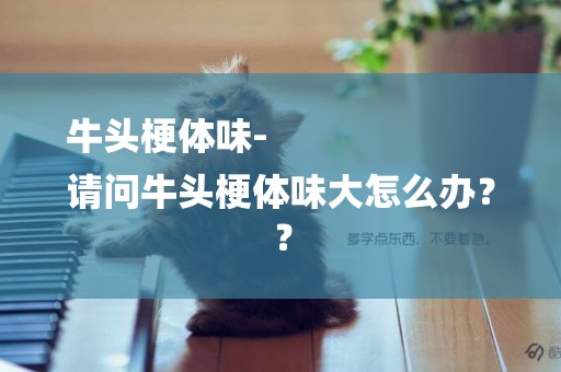 牛頭梗體味-
請問牛頭梗體味大怎么辦？？