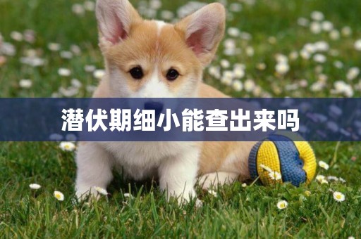 潛伏期細小能查出來嗎
