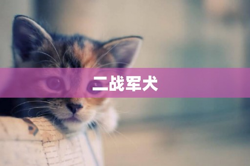 二戰軍犬